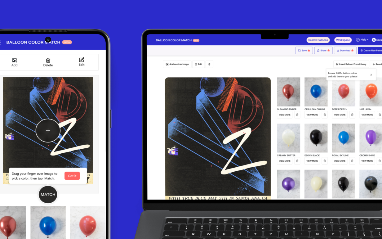 Balloon Color Match - Image 2